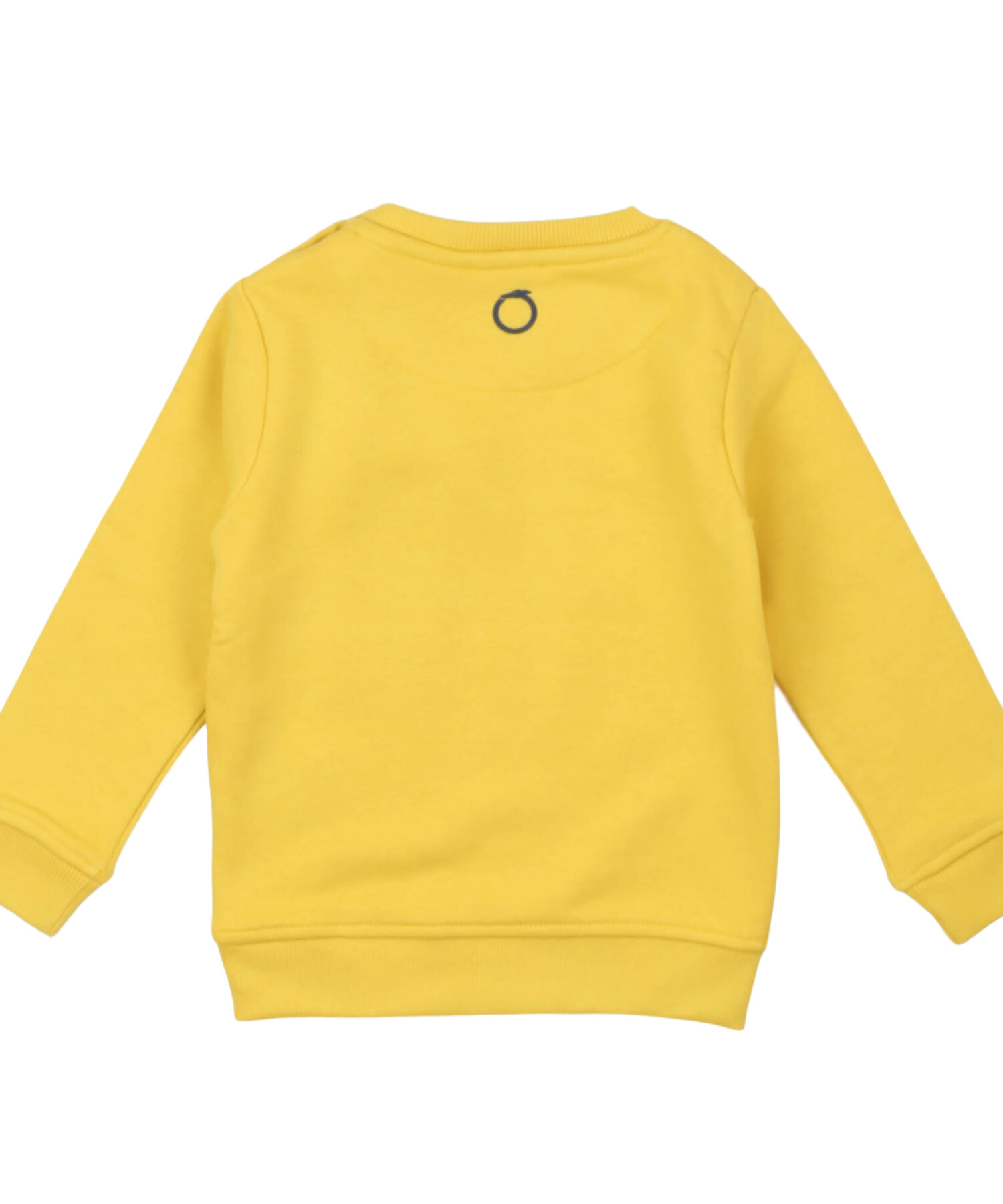 Una visione alternativa di Felpe Bambino Trussardi yell bl n