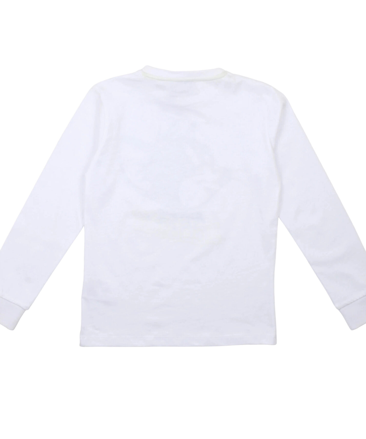 Una visione alternativa di T-Shirt Bambino Iceberg bianco
