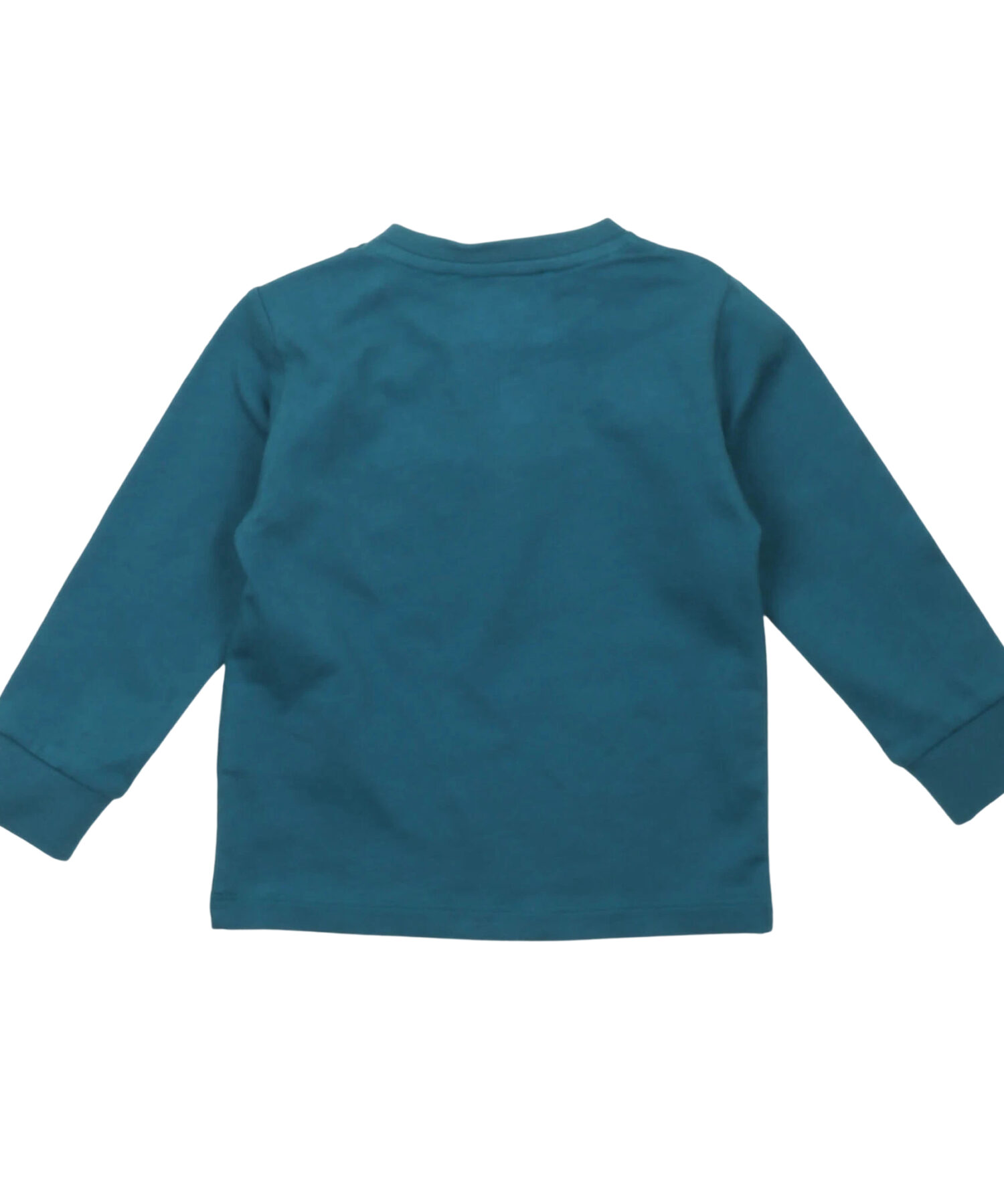 Una visione alternativa di T-Shirt Bambino Iceberg petrol