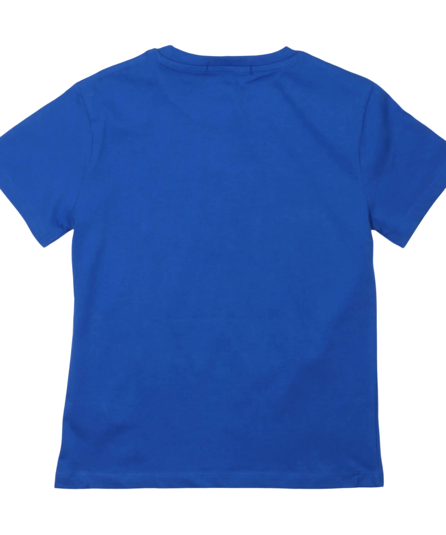 Una visione alternativa di T-shirt Royal - Givova