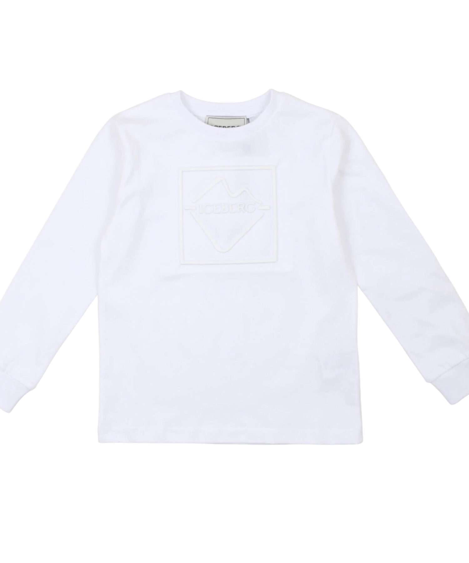 Una visione alternativa di T-Shirt Bambino Iceberg bianco