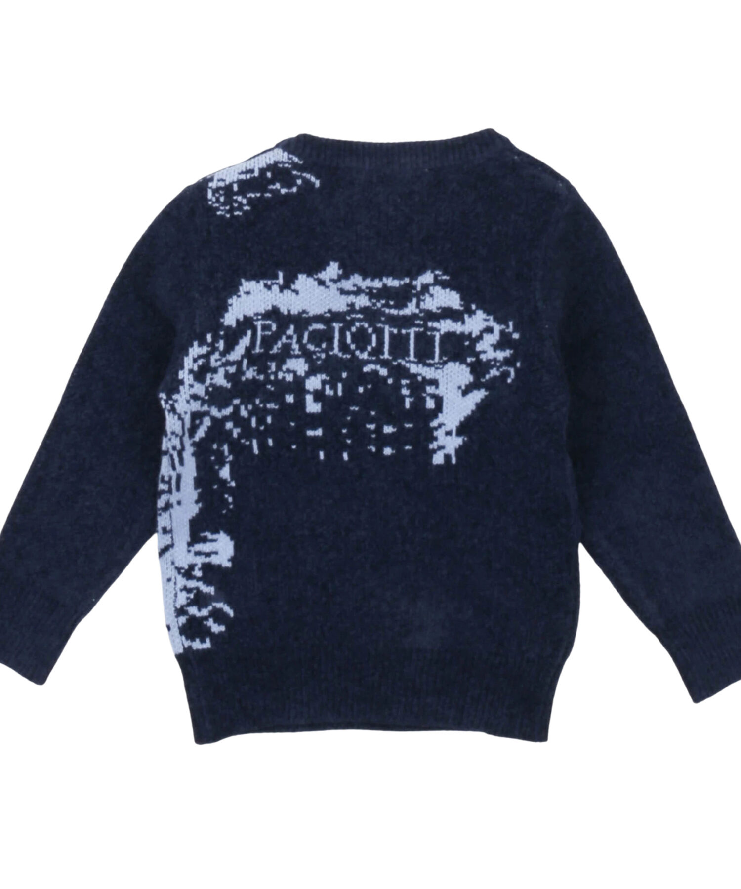 Una visione alternativa di Maglie Bambino Paciotti navy